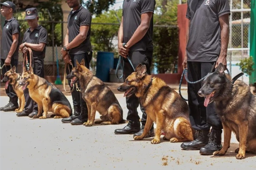 Posess POSSESS SECURITY | Personal & Site Security in Zimbabwe